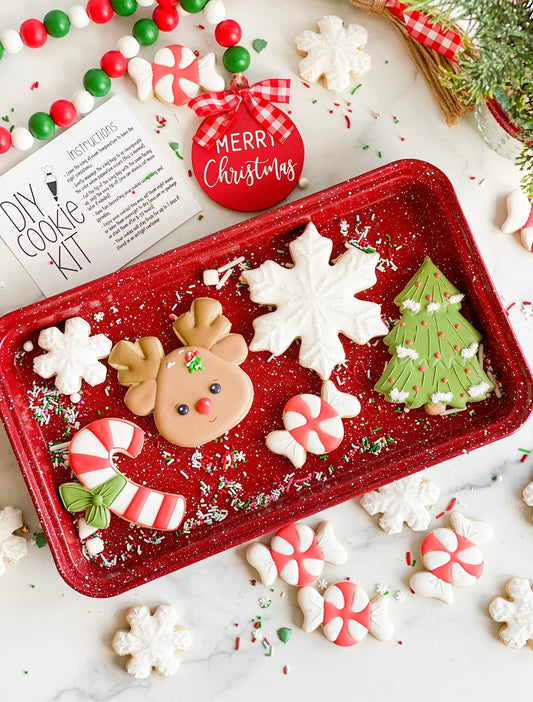 Christmas Cookie Decorating Kit